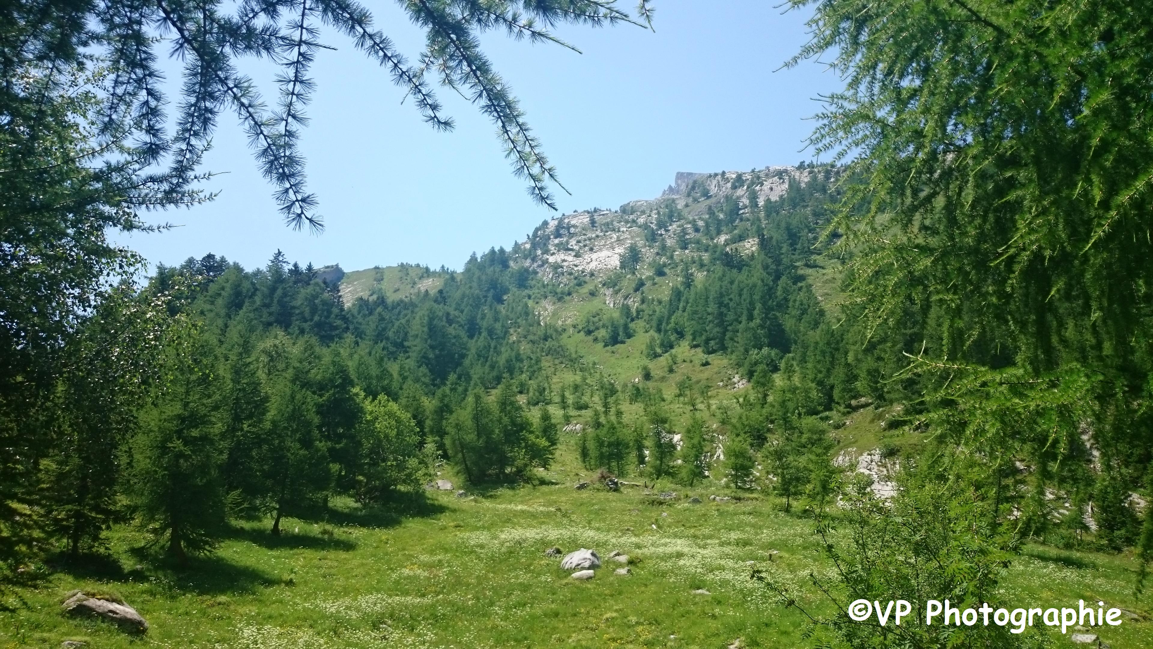 Photo prise depuis Derborence