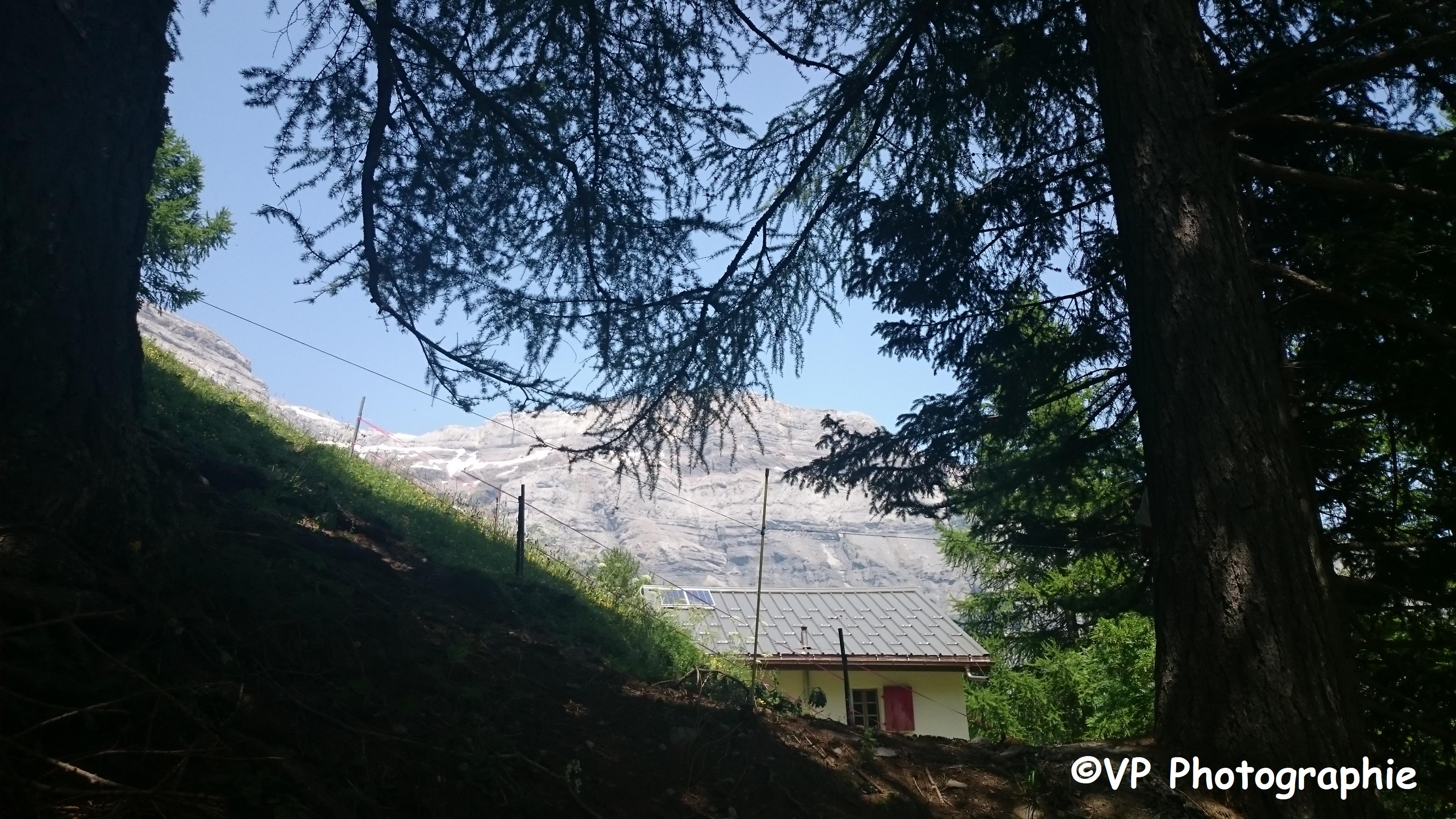 Photo prise depuis Derborence